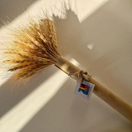 خوشه گل گندم خشک